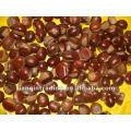 chinese fresh chestnut